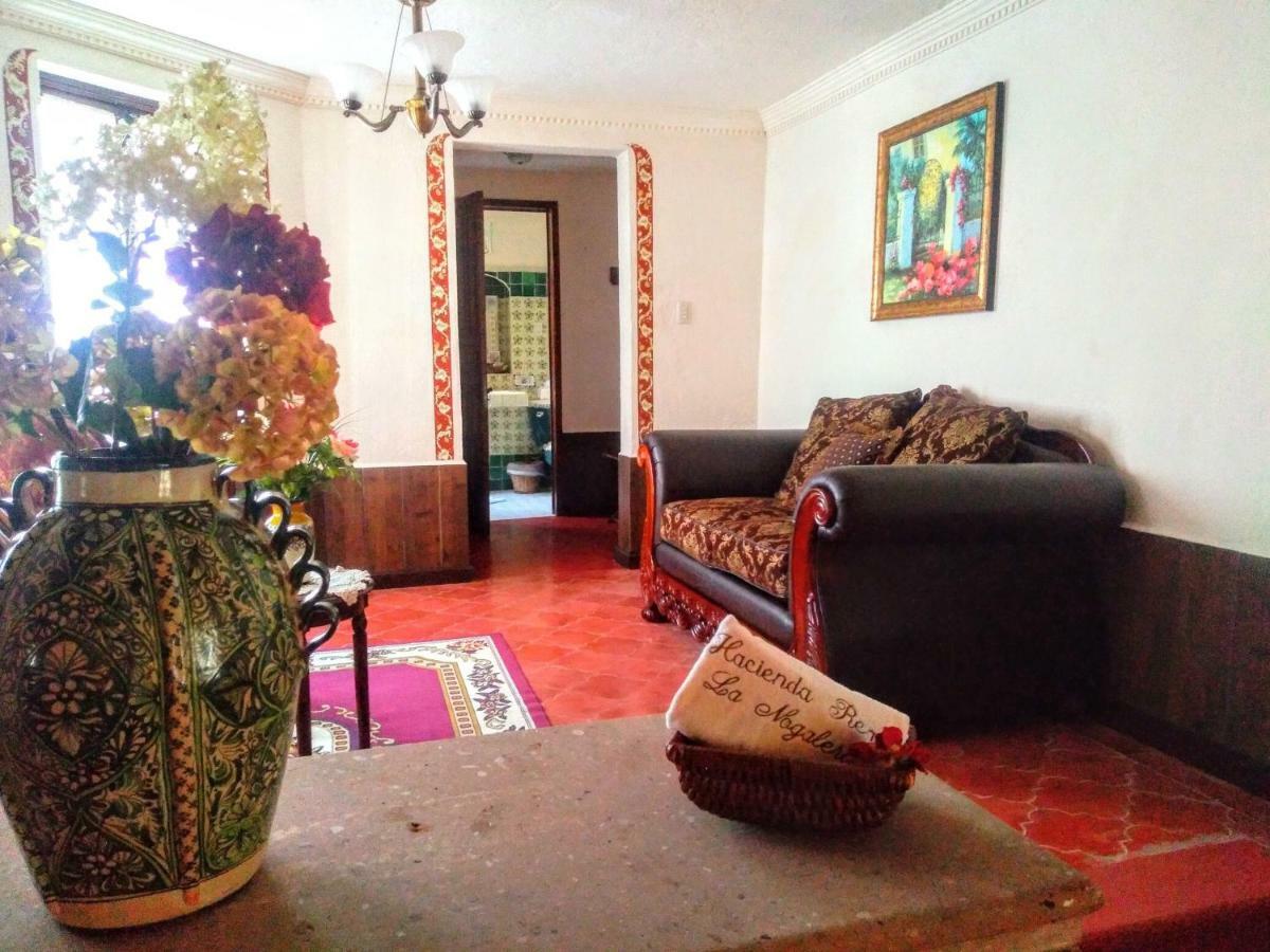 Hotel Spa Hacienda Real La Nogalera テキスキアパン エクステリア 写真